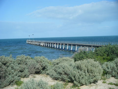 Haslam Campground - Dalby Accommodation 0