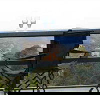 Hatters Hideout Lyres Loft - Dalby Accommodation