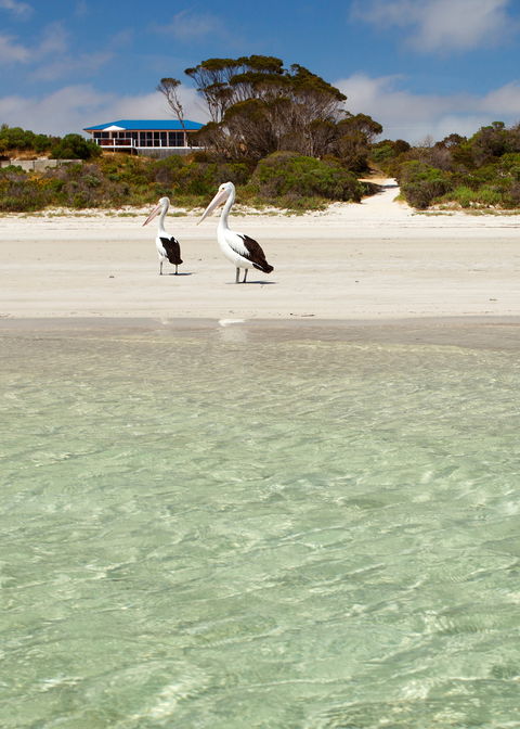 Kangaroo Island Star Beach House - Dalby Accommodation 1