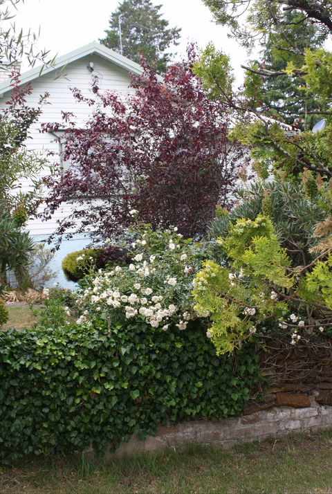 Katoomba Green Gables - Dalby Accommodation 1