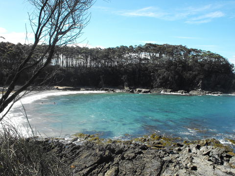 Lilli Pilli Beach Bed And Breakfast - Dalby Accommodation 2