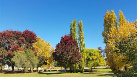 Lockhart Caravan Park - Dalby Accommodation 1