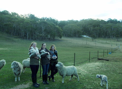 Old Minton Farmstay - Dalby Accommodation 1