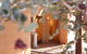 Peedamulla Campground And Cultural Tours - thumb 2
