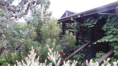 Rachels Retreat - Dalby Accommodation 0