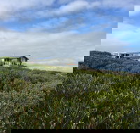 Taraki Lodge - Dalby Accommodation