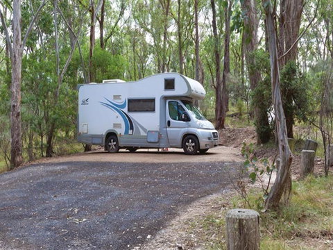 Wollomombi Campground - Dalby Accommodation 0