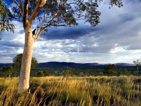 Karijini Eco Retreat - Dalby Accommodation 5
