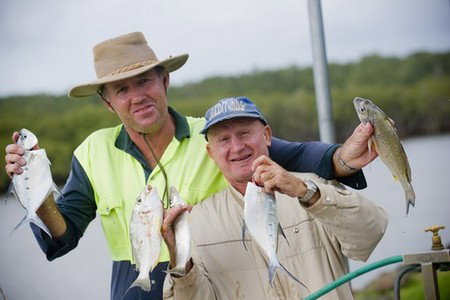 Terrace Reserve Holiday Park - Dalby Accommodation 1