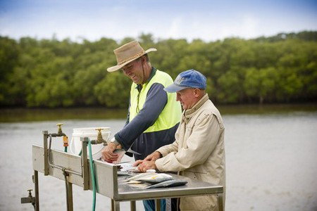 Terrace Reserve Holiday Park - Dalby Accommodation 5