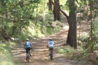 Craigmhor Mountain Retreat - Dalby Accommodation 2