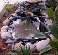 Equal Balance Bed and Breakfast - Dalby Accommodation