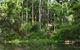Peppermint Grove Retreat - thumb 0
