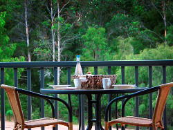 Peppermint Grove Retreat - Dalby Accommodation 2