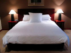 Peppermint Grove Retreat - Dalby Accommodation 4