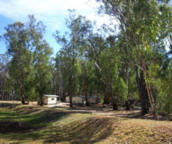 Balranald Caravan Park - Dalby Accommodation 0