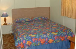 Sun Valley Tourist Park - Dalby Accommodation 0