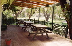 Sun Valley Tourist Park - Dalby Accommodation 1