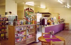 Sun Valley Tourist Park - Dalby Accommodation 5