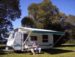 Bega Caravan Park - Dalby Accommodation 1