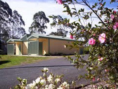 Bega Caravan Park - Dalby Accommodation 5