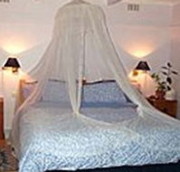 Bondi Beach Garden Sweet - Dalby Accommodation