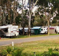 Buronga Riverside Tourist Park - Dalby Accommodation