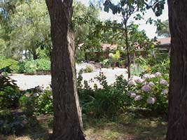 Peaceful Bay Bed And Breakfast - Dalby Accommodation 0