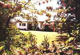 Silent Grove Farmstay - Dalby Accommodation 0