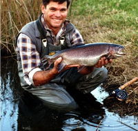 Clover Cottage Country Retreat - Dalby Accommodation