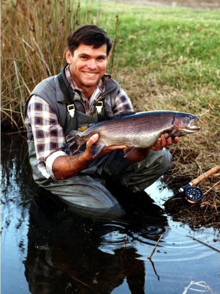 Clover Cottage Country Retreat - Dalby Accommodation 0