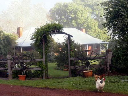 Clover Cottage Country Retreat - Dalby Accommodation 4