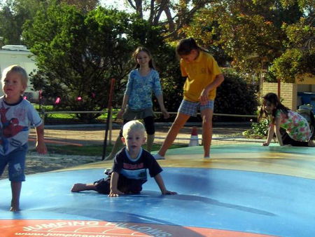 Pink Lake Tourist Park - Dalby Accommodation 1