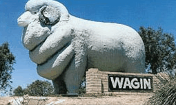 Wagin Motel - Dalby Accommodation