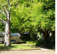 Town Caravan Park - Dalby Accommodation