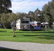Pinjarra Caravan Park - Dalby Accommodation