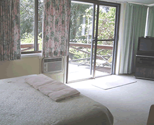 Sentosa Hideaway - Dalby Accommodation 4