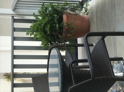 Airlie Court Units - Dalby Accommodation 2