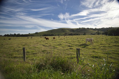 Annas Retreat - Dalby Accommodation 0