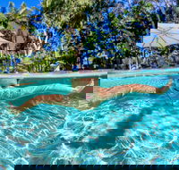 BIG4 Ballina Headlands Holiday Park - Dalby Accommodation