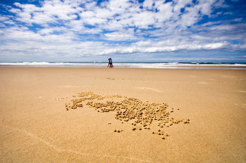 BIG4 Nambucca Beach Holiday Park - Dalby Accommodation 1