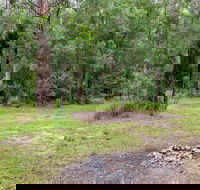 Blue Gum Flat campground - Dalby Accommodation