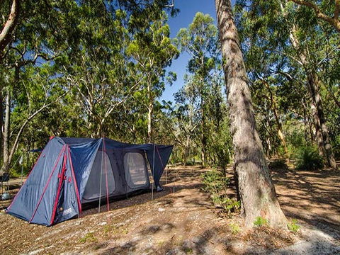 Boomeri Campground - Dalby Accommodation 1