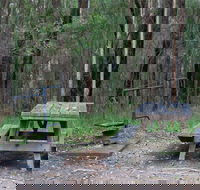 Boundary Falls campground and picnic area - Dalby Accommodation