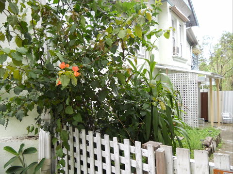 Chatswood Inn - Dalby Accommodation 1