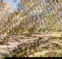 Coree campground - Dalby Accommodation