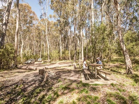 Coree Campground - Dalby Accommodation 0