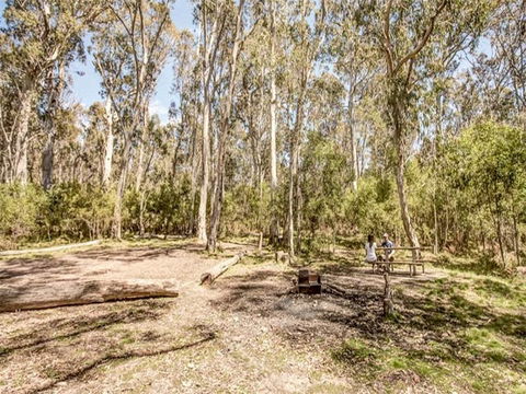 Coree Campground - Dalby Accommodation 1