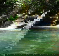 Daintree Secrets Rainforest Sanctuary - Dalby Accommodation