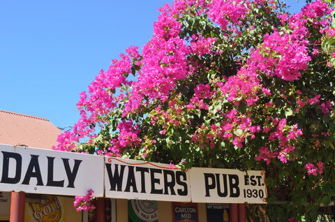 Daly Waters Historic Pub - Dalby Accommodation 0